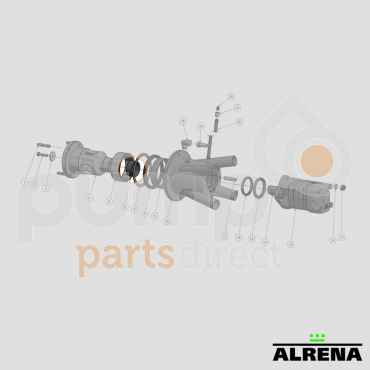 ALRENA BEARING RING 60