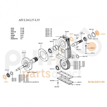 AFI L27-L35 Cap Seal Kit