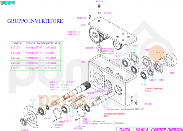 IV OUTPUT PINION SHAFT R.1:1.19 - Z=21 TEETH