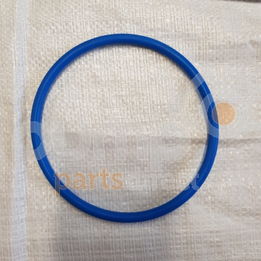 8" GLADIO O-RING GASKET FOR FLANGE RIV 9859