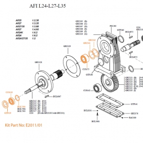 AFI L27-L35 Output Shaft Bearing Seal Kit