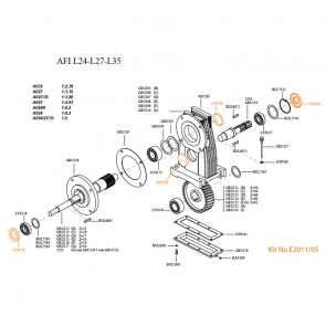 AFI L27-L35 Cap Seal Kit