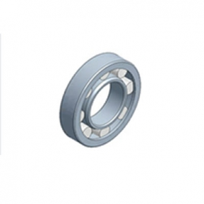 VOGELSANG CYLINDRICAL ROLLER BEARING